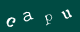 Please type the characters of this captcha image in the input box