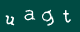 Please type the characters of this captcha image in the input box